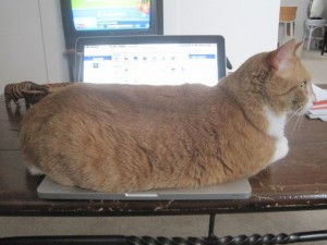 briancomputer
